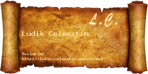 Ludik Celesztin névjegykártya